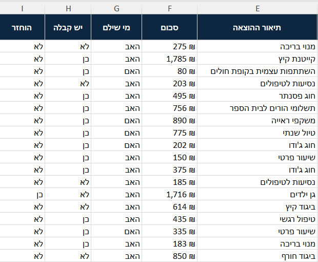 המשך לשונית ההוצאות, עמודות הסכום ומי שילם